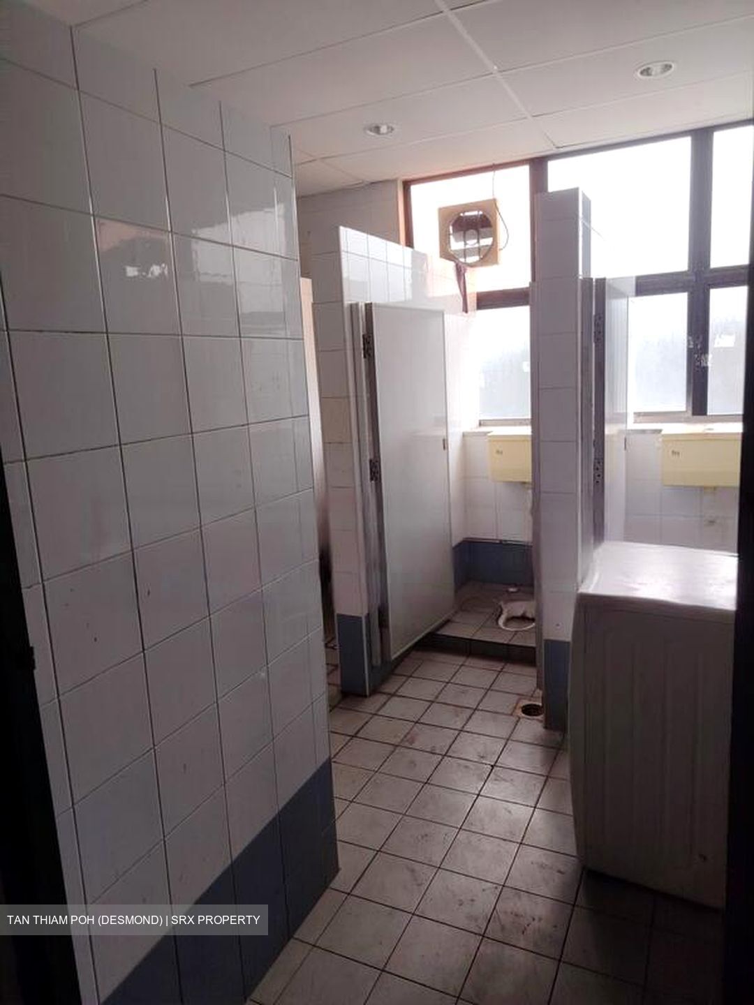 Loyang Industrial Estate (D17), Factory #488251601